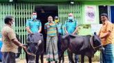 বরিশালে আন্তঃজেলা চোর চক্রের সদস্য আটক