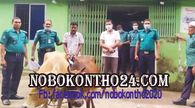 রাজাপুর থেকে চুরি হওয়া গরু বরিশালে উদ্ধার, আটক ১