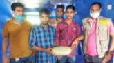 বাবুগঞ্জে গাঁজা সহ দুই যুবক আটক