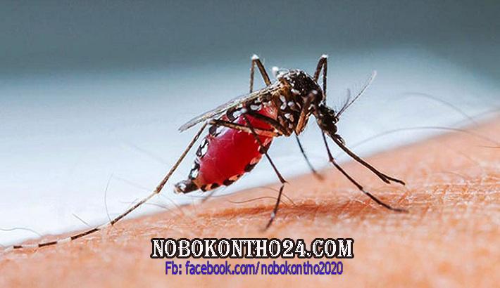 বাড়ছে ডেঙ্গু রোগী, ২৪ ঘণ্টায় ৯ জন হাসপাতালে ভর্তি