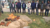 পিরোজপুরে দেড় কোটি টাকার অবৈধ জাল জব্দ