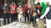 লালমোহনে ১৫ মণ জাটকা জব্দ