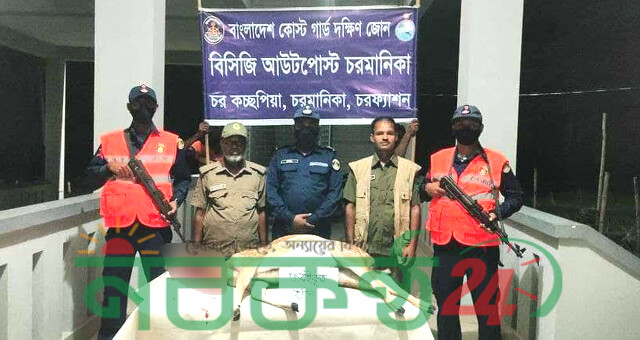চরফ্যাশনে ৪২ কেজি ওজনের জবাইকৃত হরিণ জব্দ