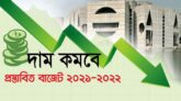কমতে- বাড়তে পারে যেসব পণ্যের দাম