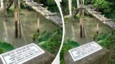 বানারীপাড়ায় আয়রন ব্রিজের বরাদ্দে গাছের সাঁকো নির্মাণ!