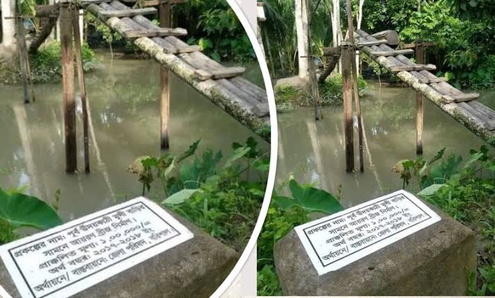বানারীপাড়ায় আয়রন ব্রিজের বরাদ্দে গাছের সাঁকো নির্মাণ!