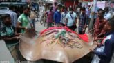 বরিশালে ১০ মণ ওজনের শাপলাপাতা মাছ বিক্রির জন্য মাইকিং