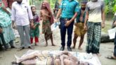 বরিশালে পুকুর থেকে যুবকের লাশ উদ্ধার
