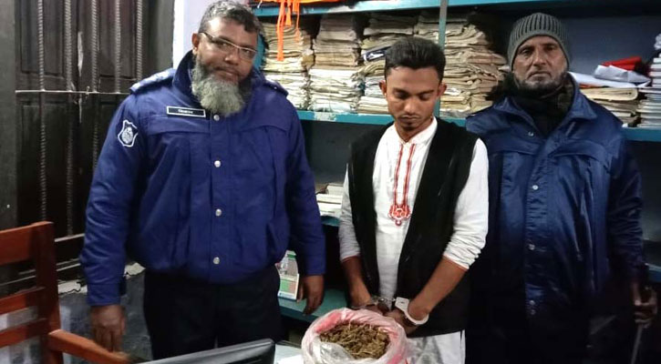 রাঙ্গাবালীতে গাঁজাসহ মাদক বিক্রেতা আটক