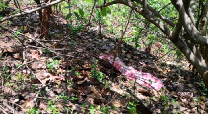 ভান্ডারিয়ায় জঙ্গল থেকে যুবকের মরদেহ উদ্ধার