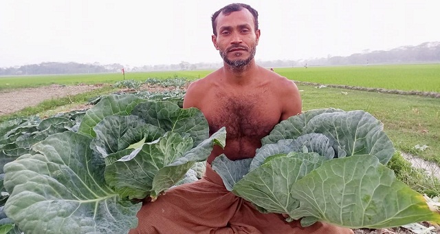 ব্যবসায় লোকসান, বাঁধাকপি চাষে লাখপতি বরগুনার শহীদ