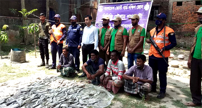বরগুনায় নিষিদ্ধ হাঙ্গর ও শাপলাপাতা মাছসহ ১১ জেলে আটক