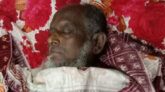 পাথরঘাটায় গাছের ডাল কাটতে গিয়ে বৃদ্ধের মৃত্যু