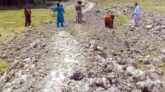 মঠবাড়িয়ায় কৃষি জমি দখল করে রাস্তা নির্মাণ