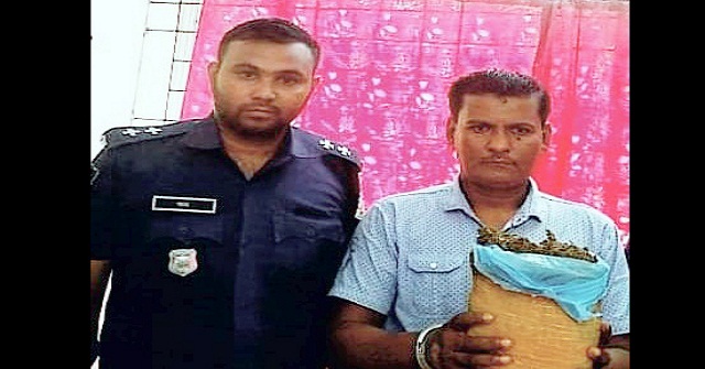 রাজাপুরে গাঁজাসহ মাদক কারবারি আটক