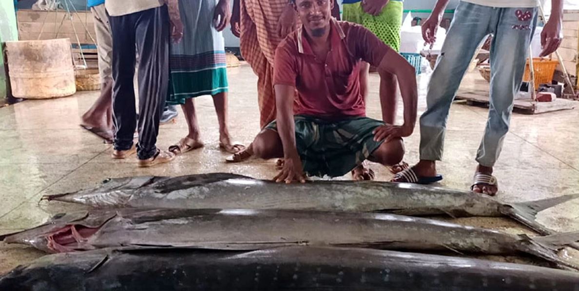 কুয়াকাটায় জেলের জালে ধরা পড়লো ৪ পাখি মাছ