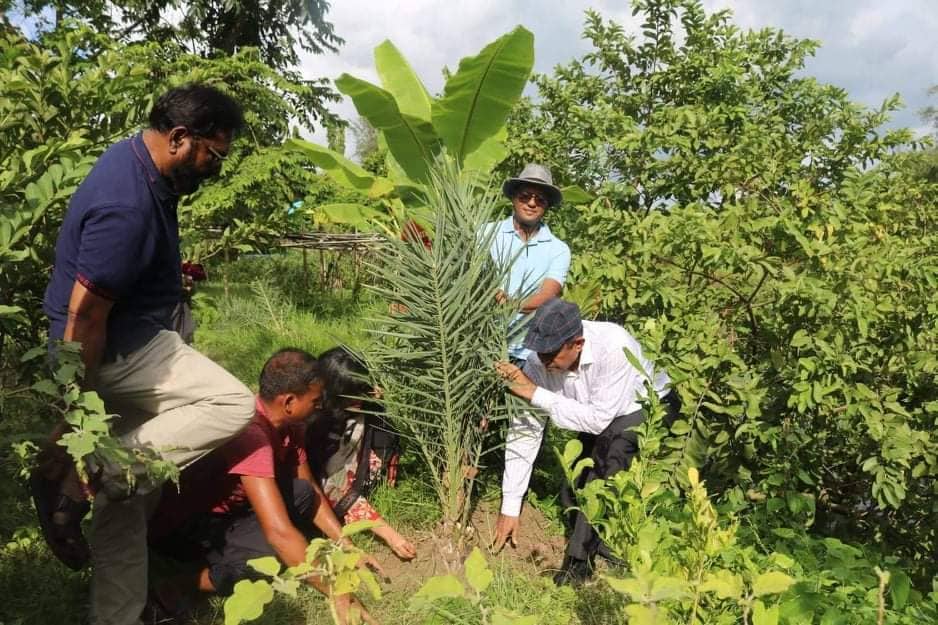 সারাদেশে এক কোটি খেজুর গাছ লাগাবে হেরিটেজ ফাউন্ডেশন