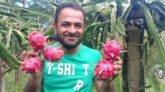 কলাপাড়ায় মোস্তফার বাগানে ১০ প্রজাতির ড্রাগন