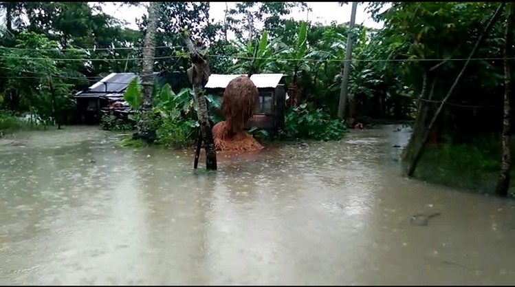 পটুয়াখালীতে ভারী বৃষ্টিপাতে ২০ গ্রাম প্লাবিত
