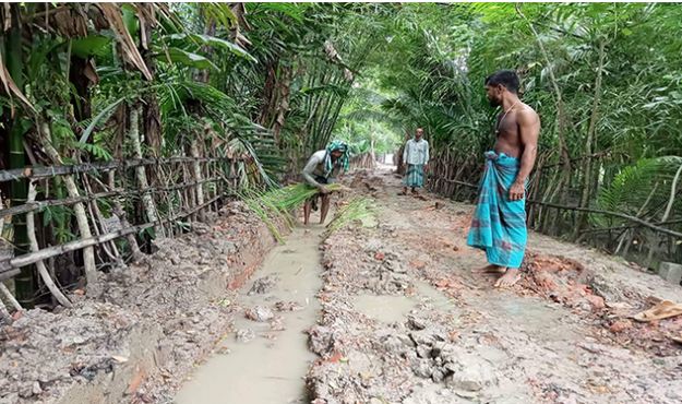 পিরোজপুরে সড়কে ধানের চারা রোপন করে প্রতিবাদ