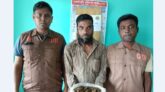 মঠবাড়িয়ায় ৩০০ গ্রাম গাঁজাসহ ব্যবসায়ী আটক