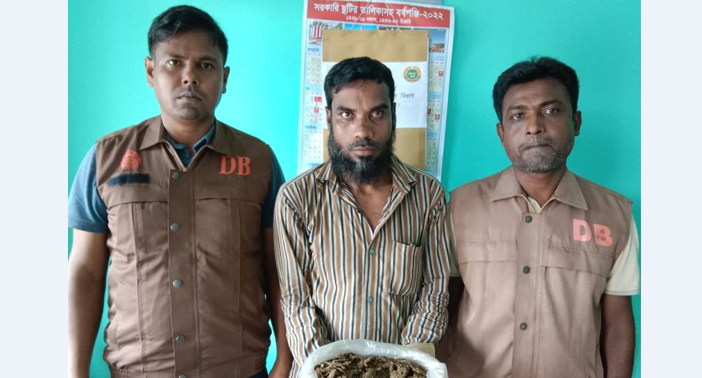 মঠবাড়িয়ায় ৩০০ গ্রাম গাঁজাসহ ব্যবসায়ী আটক