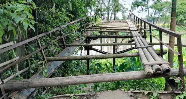 মঠবাড়িয়ায় সেতুতে সুপারি গাছ দিয়ে ৯ গ্রামের মানুষের চলাচল