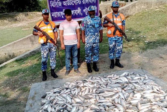 রাঙ্গাবালীতে ১৫মন জাটকা উদ্ধার