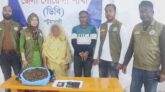 গলাচিপায় গাঁজা ও ইয়াবাসহ স্বামী-স্ত্রী আটক