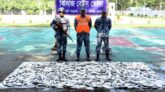 ভোলায় ২৭ মণ জাটকা জব্দ, আটক ২