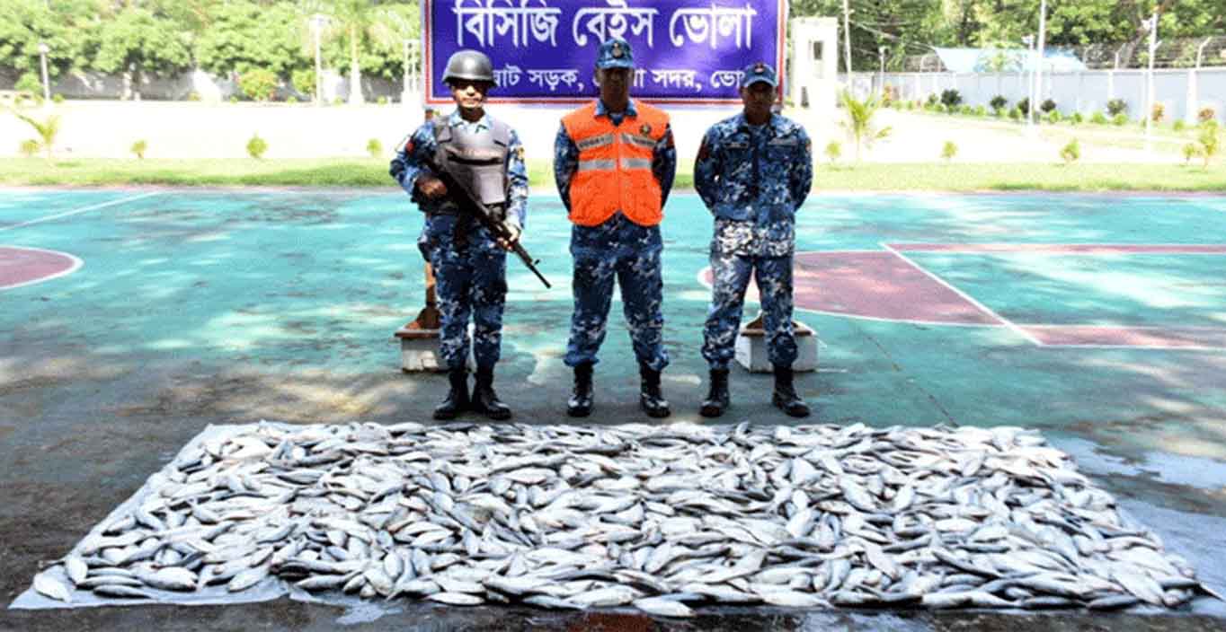 ভোলায় ২৭ মণ জাটকা জব্দ, আটক ২