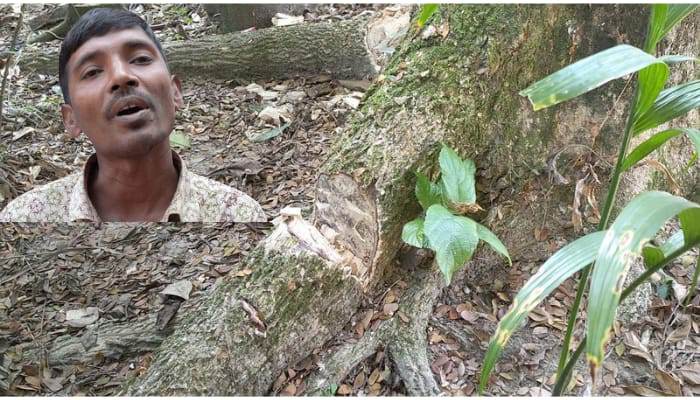 লালমোহনে ক্রয়কৃত জমি চাইতে গিয়ে হয়রানির শিকার গ্রহিতা পরিবার