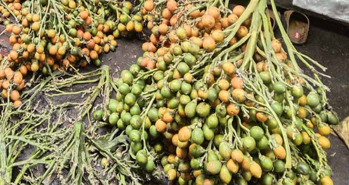 বরগুনায় মৌসুমে কোটি টাকার সুপারি বিক্রির প্রত্যাশা
