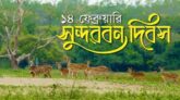 ‘বিশ্ব ভালবাসা দিবসে সুন্দরবনকে ভালবাসুন’
