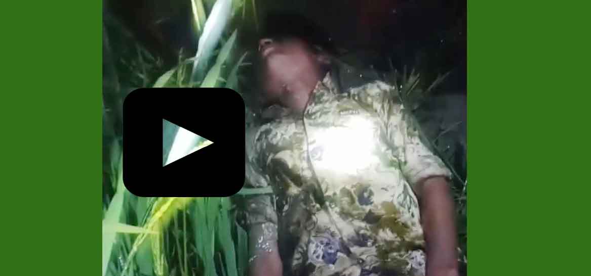 ঝালকাঠিতে ইঁদুর মারার ফাঁদে বিদ্যুৎস্পৃষ্ট হয়ে স্কুলছাত্রের মৃত্যু (ভিডিও)