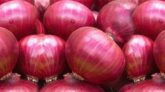 পেঁয়াজ আমদানি বন্ধ, নাগালের বাইরে যেতে পারে দাম