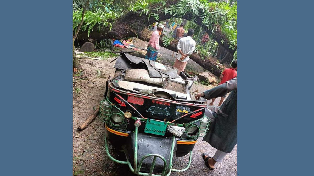 বরিশালে চলন্ত গাড়িতে গাছ পড়ে শিক্ষক নিহত, আহত ৪