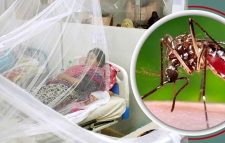 বরগুনায় ডেঙ্গুতে ব্যবসায়ীর মৃত্যু, আক্রান্ত ৩ হাজার