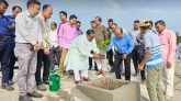 জবই বিলে গাছের চারা রোপণ করলেন খাদ্যমন্ত্রী