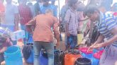 পিরোজপুরে ২০ লাখ টাকার চিংড়ির পোনা জব্দ