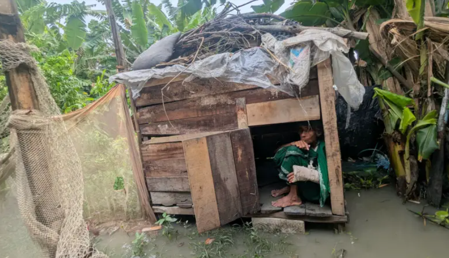 পটুয়াখালীতে বৃদ্ধা মায়ের আশ্রয় হয়েছে মুরগী খোপে!