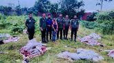 ঘোড়া জবাই করে বিক্রির সময় একজন আটক